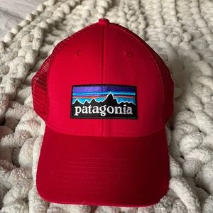 Patagonia Trucker Snap Back Hat